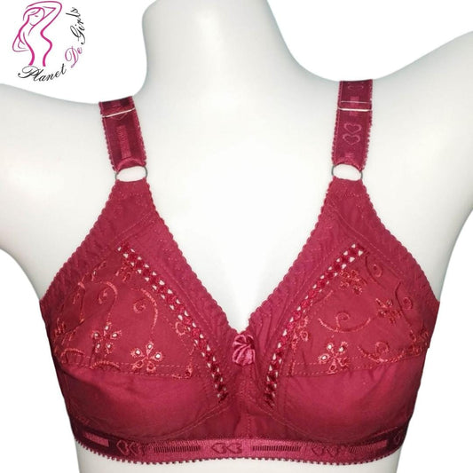 Brown Embroidered Net Bra for Women, Non-Padded, Breathable, Sizes 32-42