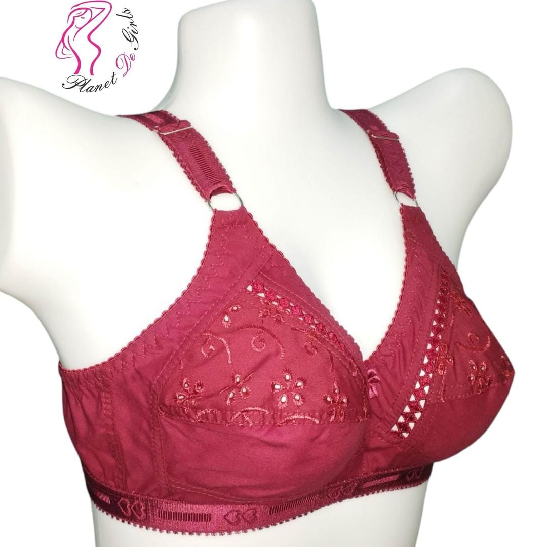 Brown Embroidered Net Bra for Women, Non-Padded, Breathable, Sizes 32-42