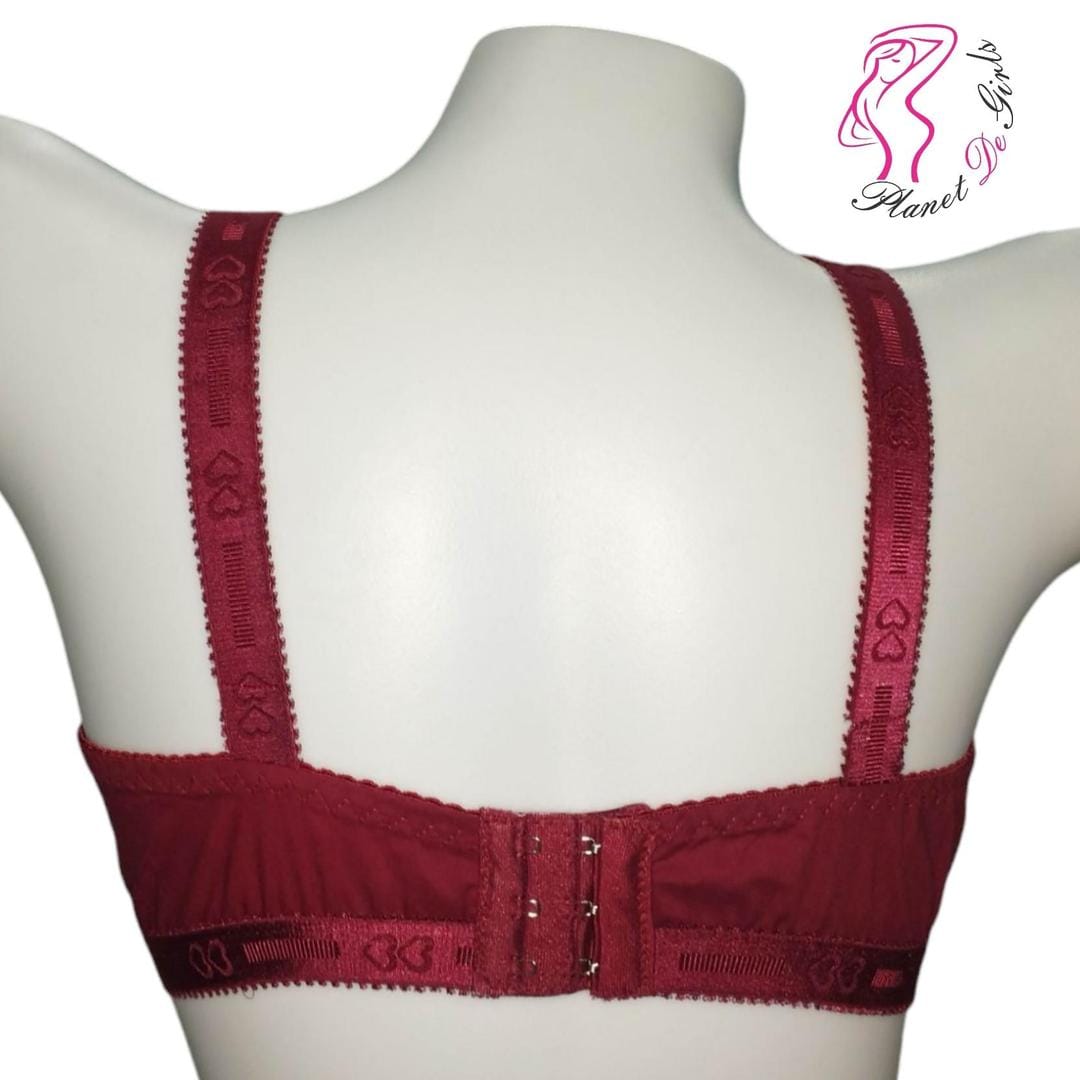Brown Embroidered Net Bra for Women, Non-Padded, Breathable, Sizes 32-42